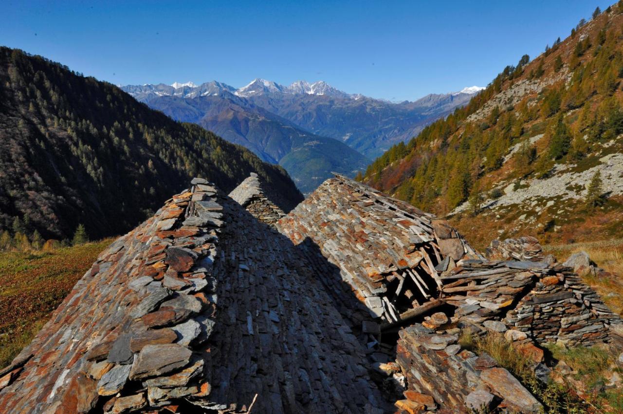 Rifugio Parpinasca Vandrehjem Trontano Eksteriør billede